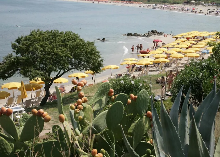 Fruit Village Tropea Baia Della Rocchetta Soft 호텔